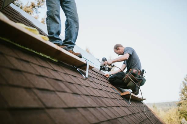 Best Storm Damage Roof Repair  in Goulding, FL